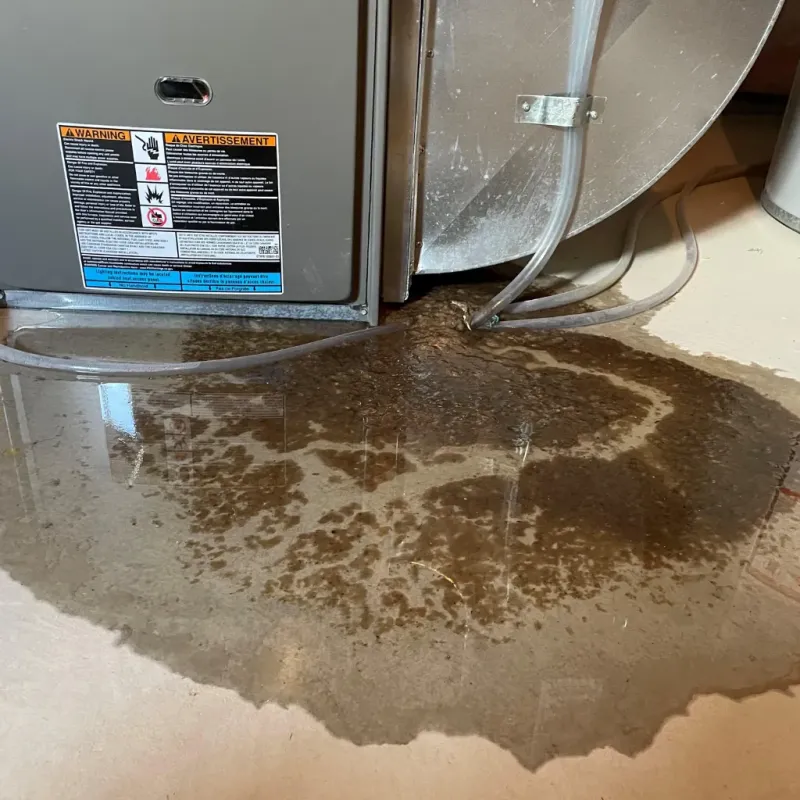 Appliance Leak Cleanup in Avilla, IN